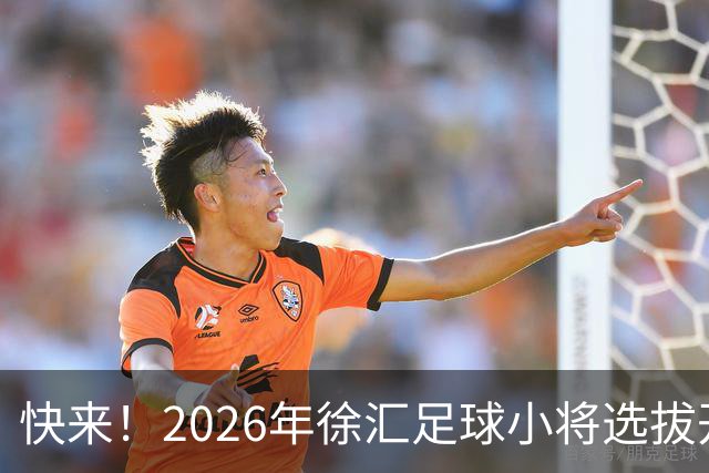 快来！2026年徐汇足球小将选拔开启，别错过了！